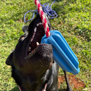 Rocket Pop Dental and Retrieving Toy