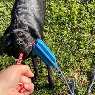 Rocket Pop Dental and Retrieving Toy