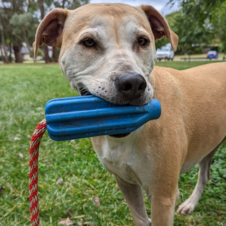 Rocket Pop Dental and Retrieving Toy