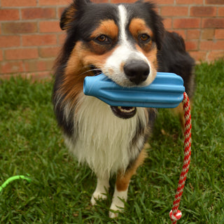 Rocket Pop Dental and Retrieving Toy