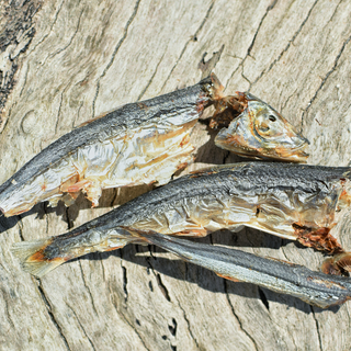 Catch Of The Day - Small Oily Fish