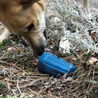 Wirenut Chew and Enrichment Toy