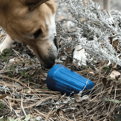 Wirenut Chew and Enrichment Toy