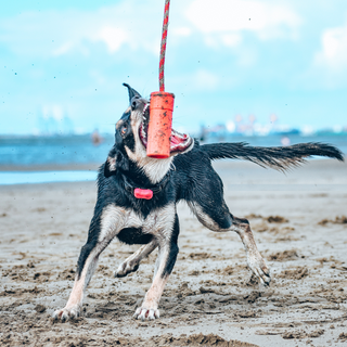 Latex Chew Toy from Sodapup Dog Toys and Rover Pet Products - Red Firecracker