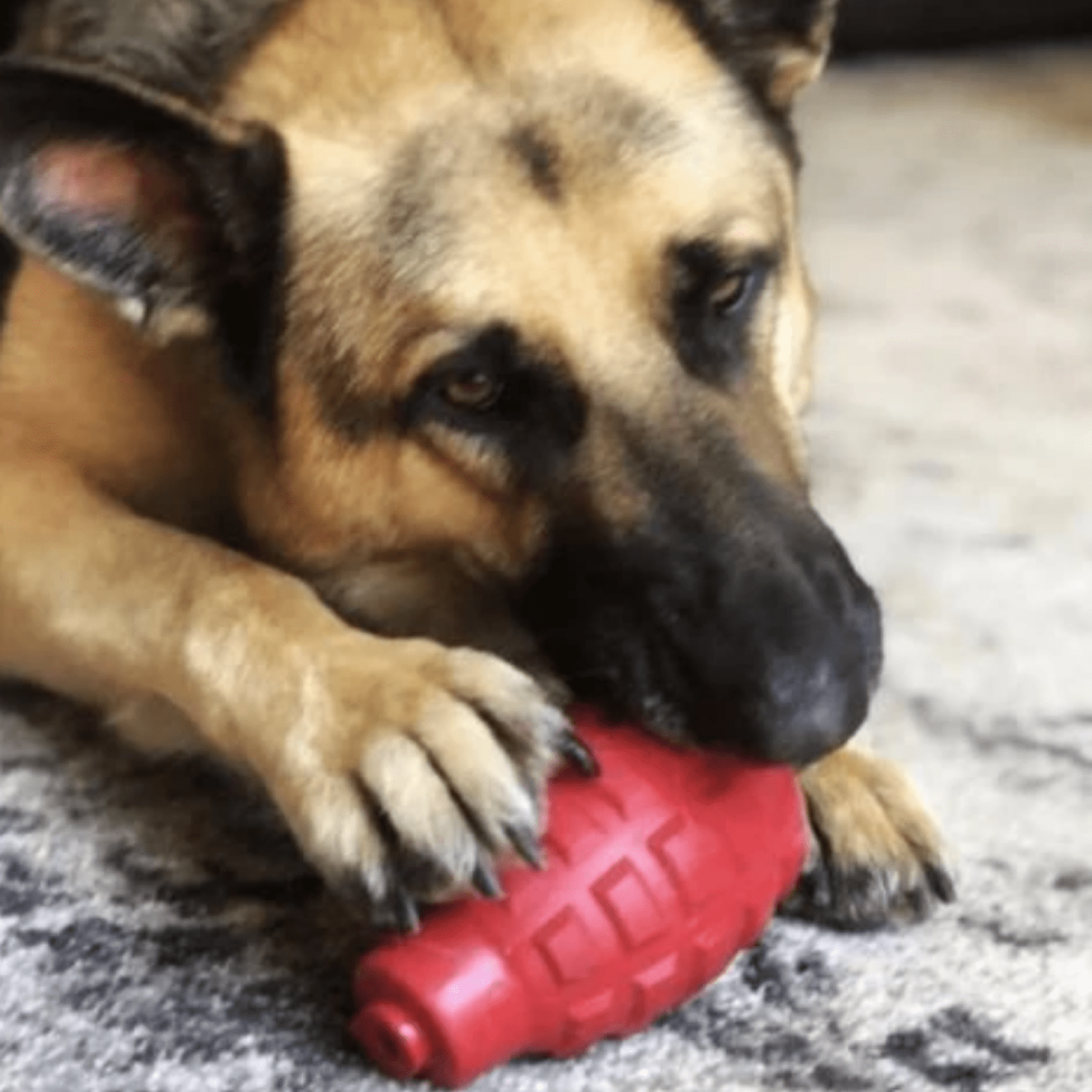 Chew Toy Latex Grenade from Rover Pet Products