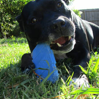 Nylon Coffee Cup Power Chewer Dog Toy