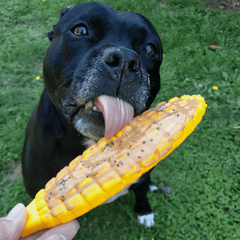 Nylon Corn - for the strongest chewing dog toys