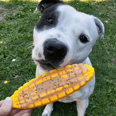 Nylon Corn - 30 day replacement guarantee - for the toughest chewing dogs