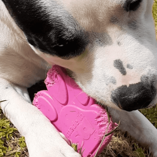 NYLON PAW CHEW TOY from Rover Pet Products and Sodapup Dog Toys