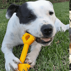 Nylon Shovel Power Chewer Dog Toy - Yellow - from Rover Pet Products