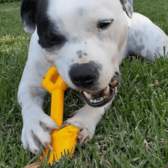 Nylon Shovel Power Chewer Dog Toy