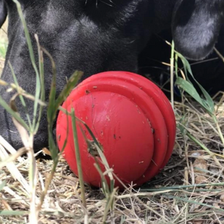 Stars and Stripes Ball from Sodapup Dog Toys