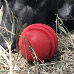 Stars and Stripes Ball from Sodapup Dog Toys