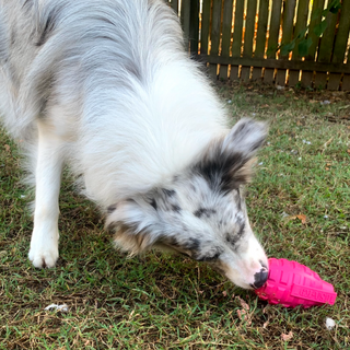 Latex Pink Grenade from Sodapup Dog Toys