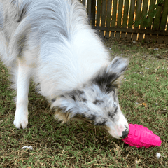 Latex Pink Grenade from Sodapup Dog Toys