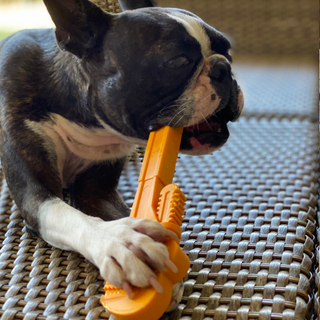 Nylon Pipe Wrench Mega Power Chewer Dog Toy