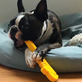 Boston Terrier Chewing Nylon Pipe Wrench Power Chewer Dog Toy