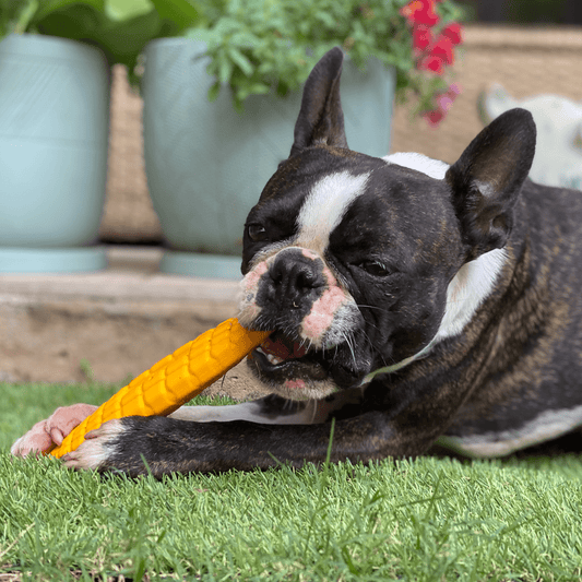 Nylon Corn Power Chewer Dog Toy - Yellow - for the toughest chewers