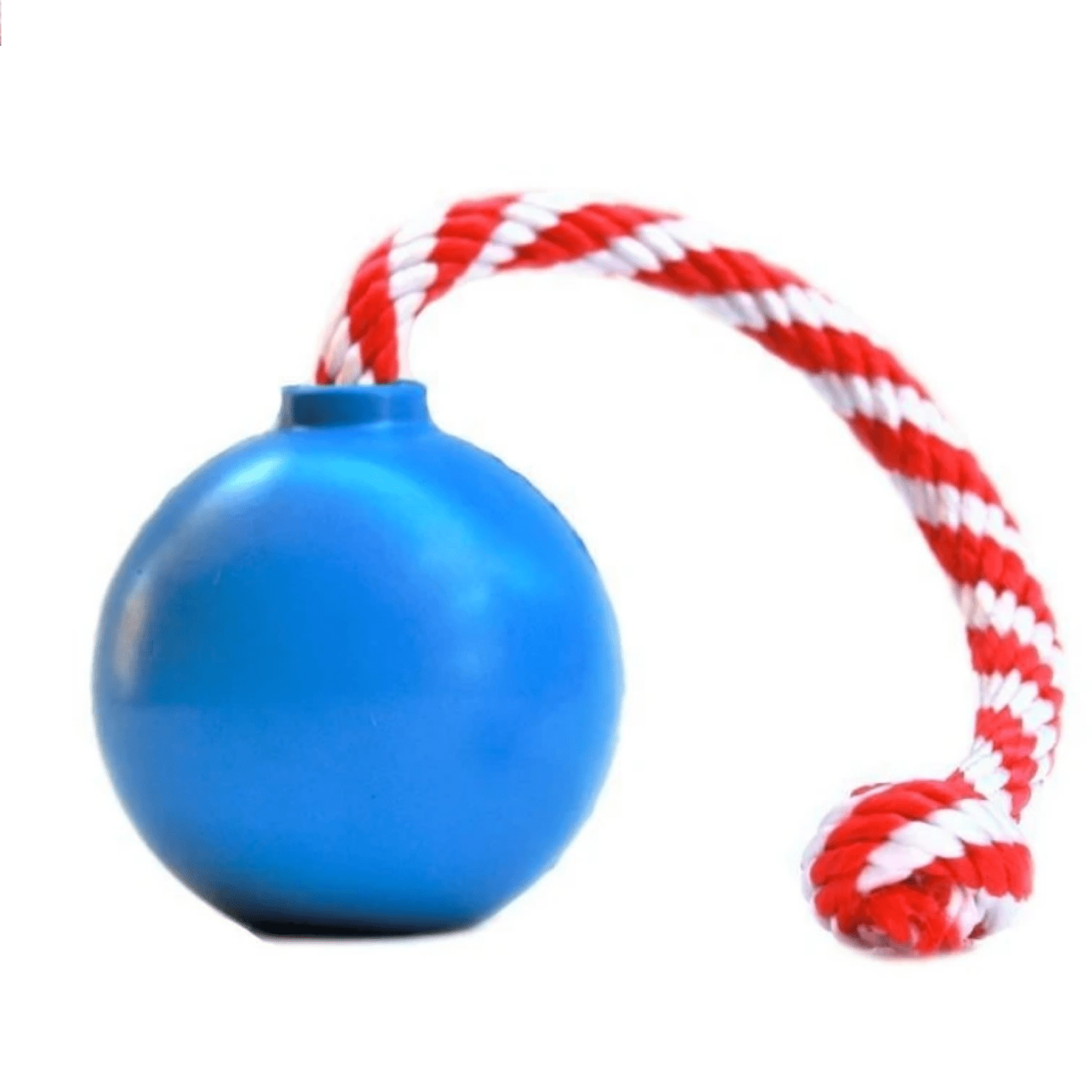 Blue Cherrybomb Dog Toy from Rover Pet Products