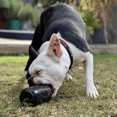 Magnum Grenade Chew Toy and Enrichment Toy from Rover Pet Products