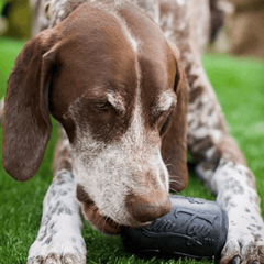 Magnum Can Toys from Rover Pet Products Chew Toy