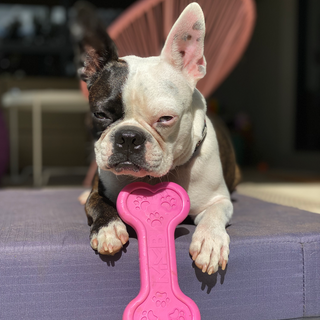 Pink Nylon Bone Chew Toy from Rover Pet Products - Mega Tough Chew ToyToy