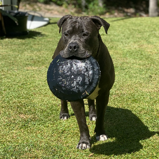 Magnum Bottle Top Flyer Frisbee Toy from Rover Pet Products