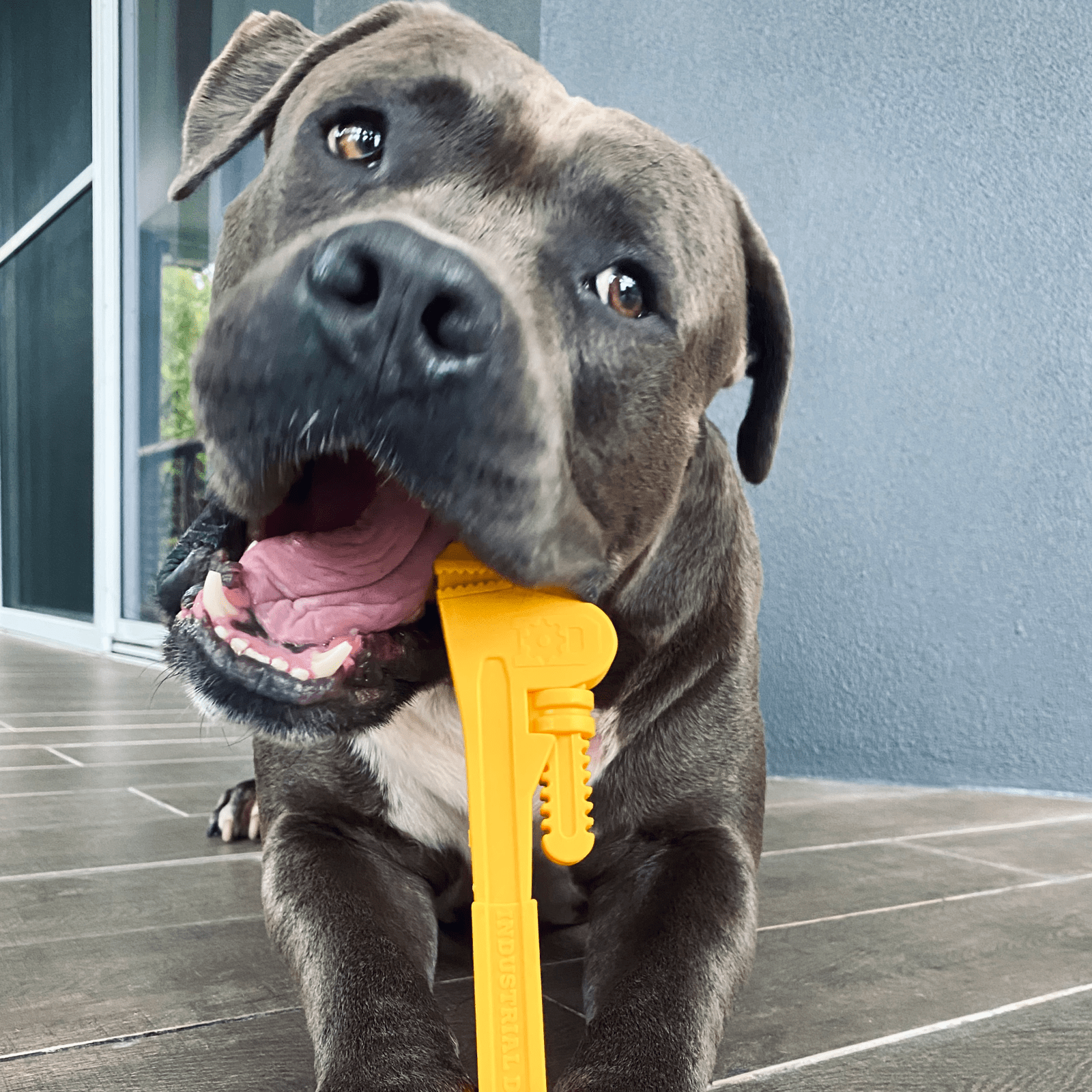 Mega Power Chewer Dog Toy Nylon Pipe Wrench - Staffy Chewing