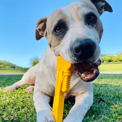 Nylon Pipe Wrench Power Chewer Dog Toy