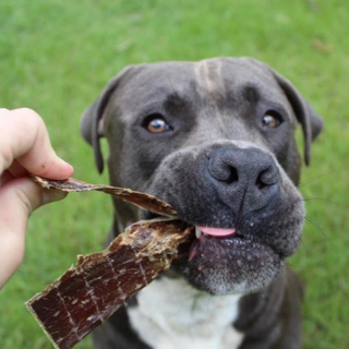 CHEW ON THIS! - Beef Jerky