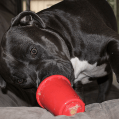 Enrichment Chew Toy Coffee Cup from Rover Pet Products