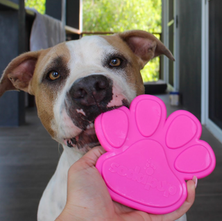 NYLON PAW PINK ROVER PET PRODUCTS Power Chewer Dog Toy