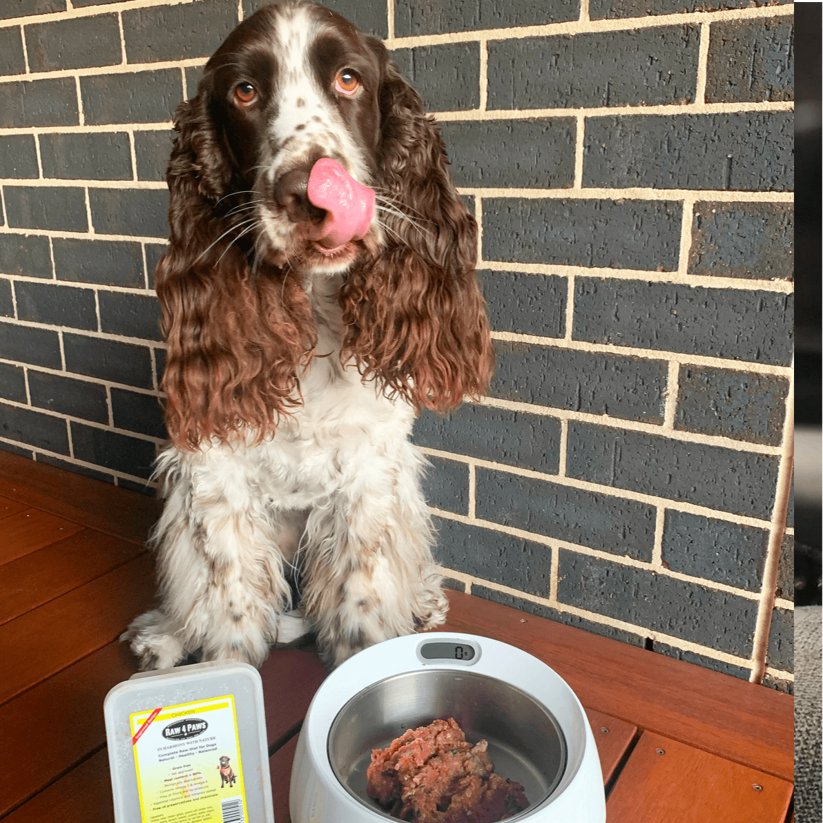 Healthy Raw Aus Made Dog Food