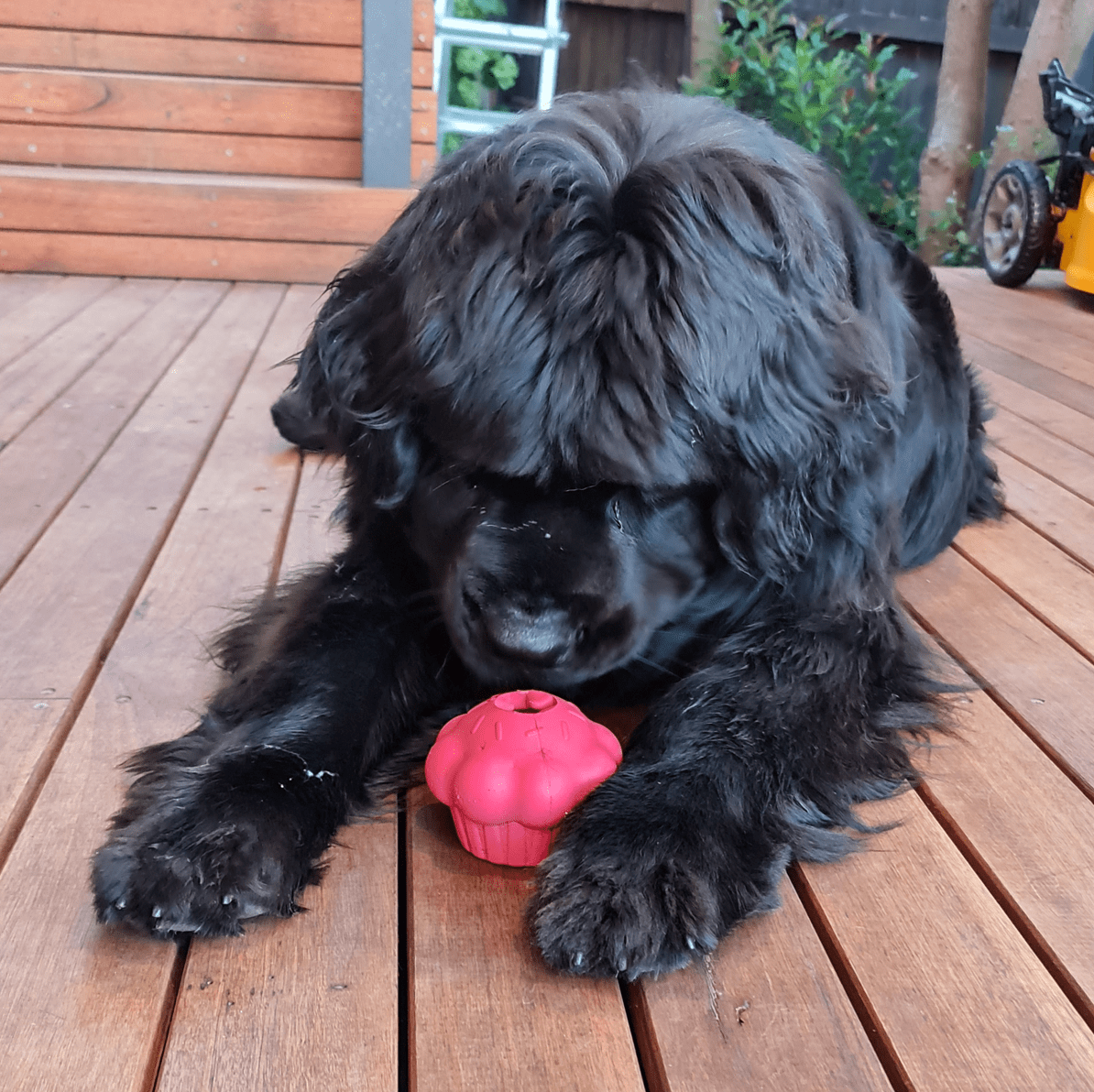 Pink Cupcake Enrichment Dog Toy from Sodapup Dog Toys