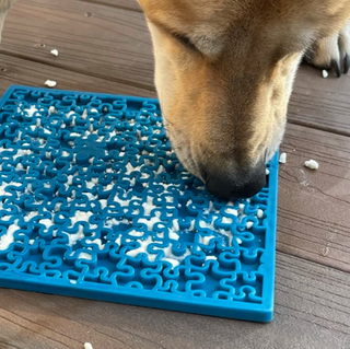 JIGSAW eMat Enrichment Lick Mat