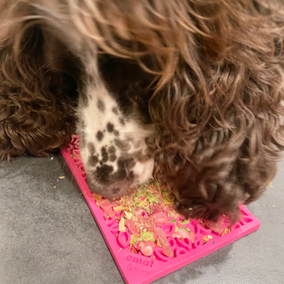 Flower Power eMat Enrichment Lick Mat