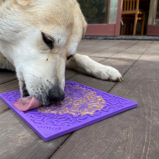 Bones eMat Enrichment Lick Mat