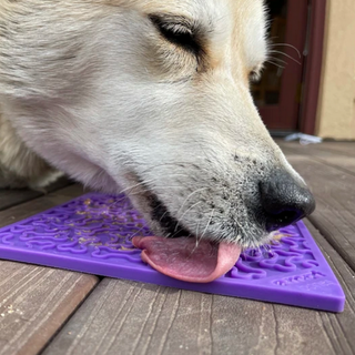 Bones eMat Enrichment Lick Mat