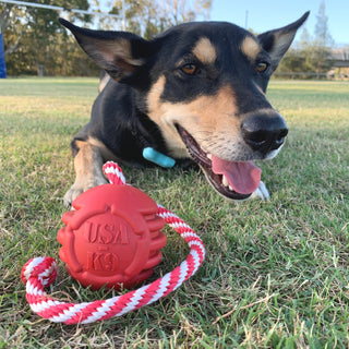 Stars & Stripes Ball Reward Toy