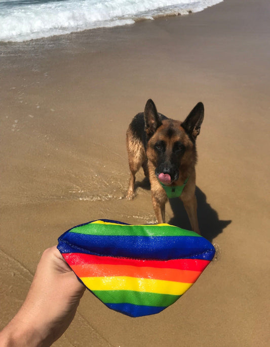 Big Rainbow Lips