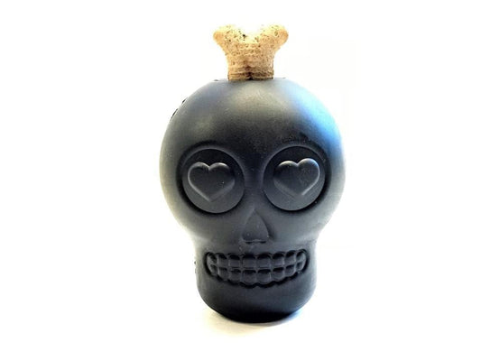 Enrichment Magnum Skull from Rover Pet Products