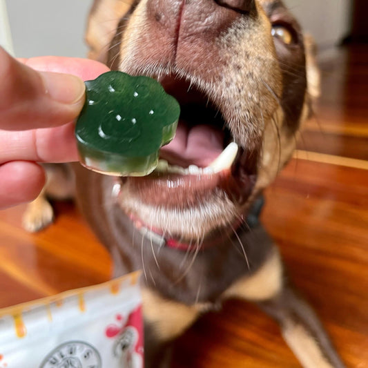 Spinach & Green Spirulina Superfood Jelly