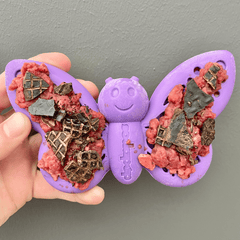 Nylon Butterfly and Enrichment Chew Toy from Rover Pet Products