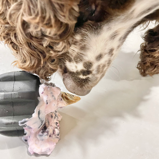 Magnum Gear Enrichment Chew Toy