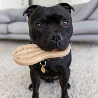 Nylon Peanut Power chewer dog toy - fit for staffies and other tough dogs